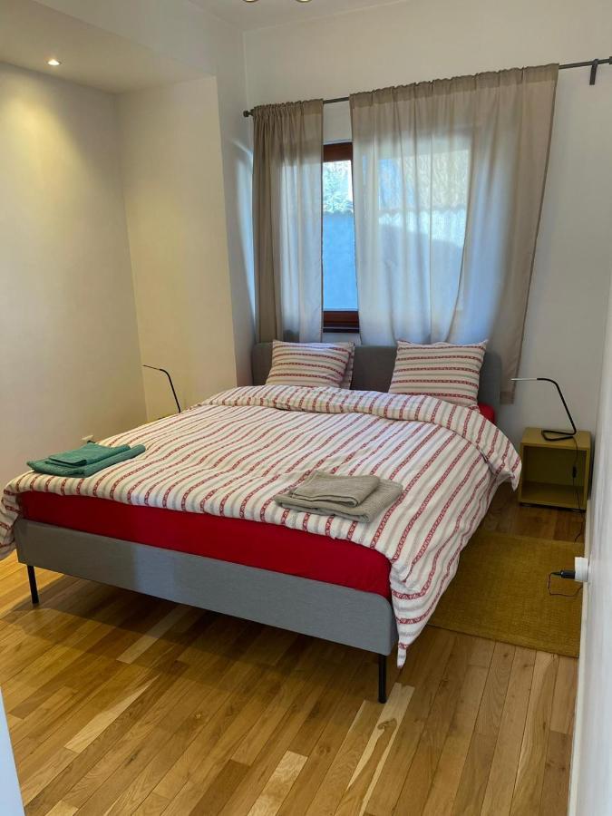 Tinamore Otopeni Kültér fotó
